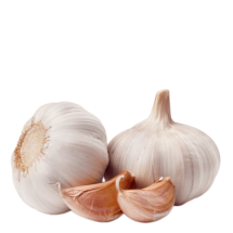 Knoblauch