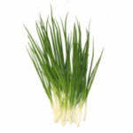 Frühlingszwiebeln