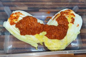 Chinakohl-Blätter einzeln mit der scharfen Kimchi-Gewürzpaste einreiben