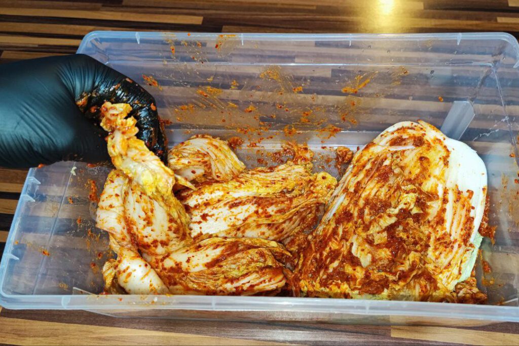 Gleichmäßig mit Paste bestrichene Kohlviertel für das historische Kimchi Rezept schichten